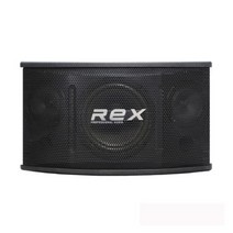 REX RX-100 노래방 스피커 매장 행사용 스피커 10 인치 2개