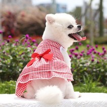 강아지패딩 가을 겨울 비숑 시밀러룩 웰시코기 프렌치불독 망토 바람막이 옷 강아지 만화 인쇄 작은 개 봄과 여름 개 셔츠 재킷 치와와 요크셔 의류 애완, 09, XL