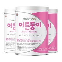 남양유업 임페리얼드림 XO 이른둥이 신생아분유 아이사랑 400g 3캔, 4세트