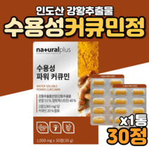 인도강황 수용성 강황 커큐민 먹는법 먹는방법 효능 효과