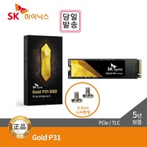 -정품-SK하이닉스 P31 M.2 NVMe SSD Gold TLC [고정나사 증정], P31_, 500GB_