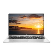 HP 2021 프로북 450 G8 38.1cm(15인치) 인텔 I5-1135G7 16G 256G MX450, WIN10 Pro, 실버, 16GB, 256GB, 코어i5, 2Z9A5PA