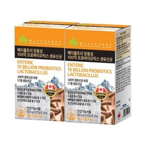 메이플트리 장용성 100억 프로바이오틱스 생유산균 60캡슐X2통 4개월분 16346