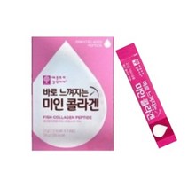 애플트리김약사네 바로 느껴지는 미인 콜라겐 2g x 14포 2개, 2gx14포