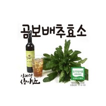 121081 곰보배추 효소 750ml x 3병 이의영 산야초 발효액, 곰보배추 효소 750ml x 3병 이의