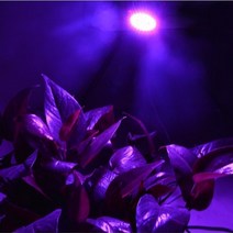수경재배기 틔운미니씨앗 전열온상선 세바팜 스마트팜 풀레뜨 72 LEDs E27 led 식물 성장 빛 전체 스펙트럼, 01 32 LEDs_03 110V   4 PCS