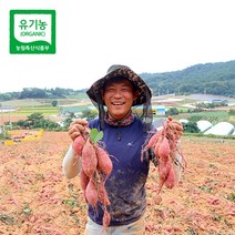 [해야농장] 무안 유기농 햇 고구마 3kg 5kg 10kg (꼬맹이) 인간극장출연, 유기농 햇밤 고구마 10kg (꼬맹이), 1개