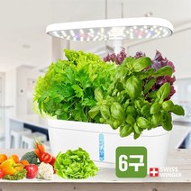 토마토 수경재배기 상추 씨앗 6구 실내 야채 채소 꽃 허브류 스마트팜 식물키우기 LED 자동 가정용