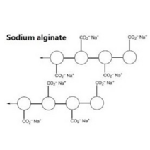 알긴산나트륨(Sodium alginate) / 소듐알지네이트-1kg