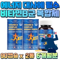 성장기 어린이 청소년 수험생 두뇌 피로 비타민비군 할아버지 할머니 부보민 신경 손상 개선 나이아신 두 뇌 육체 피로 남자 모발 개선 여자 호르몬 에너지 대사 세포 분열 B 8 9