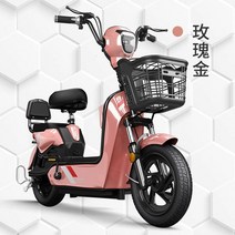 전기자전거 장거리 2륜 배터리 자전거, 21 20A 납산 National Lianbao Tia, 48V