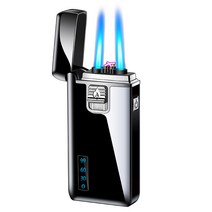 십전십미 USB 충전식 방풍 방수 플라즈마 고급 전기 터보라이터 2in1 가스 라이터 금속, G