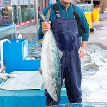 [동쪽바다푸른수산]8kg 이상 방어만 사용한 돼지 방어회, 돼지방어회 전체 부위 2000g (8~10인분)