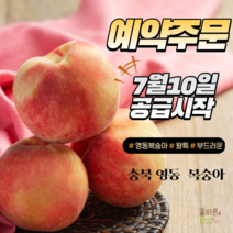 23년 햇 부드러운 복숭아 예약판매 왕특 특 2.5kg 4kg, 왕특 8입 2.5KG, 1개