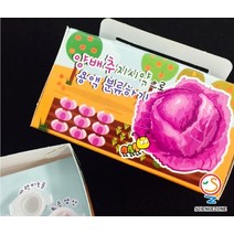 용액 분류하기 - 붉은 양배추 지시약 (5인)