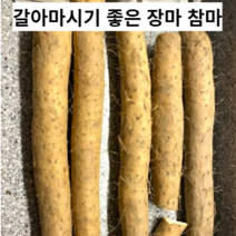 국내산 참마 2kg 산마 장마 생마 안동산 안동지역 산지직송
