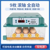 병아리부화기 자동병아리부화기 달걀부화기 계란부화기, 스마트 전자동 부화기 듀얼 9란