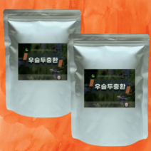 무릎 관절엔 정든팜 우슬두충환 이중지퍼백 500g 1kg, 우슬두충환 500g 1팩, 1개
