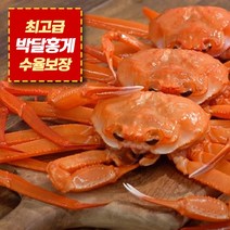 *박달홍게* 프리미엄 상급 후포리 수율보장 85%이상 2.3kg 3.7kg 5kg 당일자숙, 2.3kg 내외 5마리