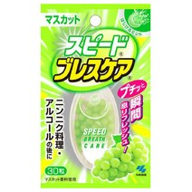 고바야시 스피드 브레스케어 청포도민트 30알 구취