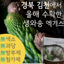 국내산 와송즙 경북김천 기와 와송진액 100ml 60포 명절 설 추석 어버이날 부모님 선물, 1박스60포