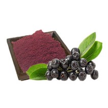 국산 아로니아 분말 300g×2팩, 2개, 단품