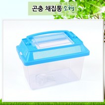 곤충 학습 손잡이 투명 소형 채집통 5개 숲체험 관찰교구 유치원