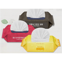 우리집 우리 아기 물티슈 100매 캡형 10개 SHINE, 일반물티슈 100매 캡형 (보라/파랑 랜덤) x 10개