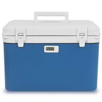 온도계 아이스박스 의료용 보냉 쿨러 병원 상자 약품, 12L 온도계 얼음주머니, 12L, 단일사이즈