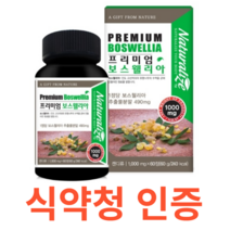 네추럴라이즈 프리미엄 보스웰리아 식약처 식약청 인정 인증 해썹 haccp 인도 유향나무 식물성 원료 테르페노이드 아연 비타민D 마그네슘 리모넨 셀레늄 판톤텐산 추출분말, 60정X9개