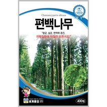 편백나무 400립 / 수목 종자 항균 살균 면역력 관상용 정원 마당 조경가꾸기 상품 가격5 000원