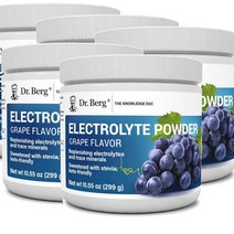 닥터베르그 전해질 파우더 칼륨 핑크히말라야 솔트 포도맛 드링크믹스 299g Dr. Berg Nutritionals Electrolyte Powder, 5개