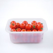 로파호 진공포장기 IVP-1131 식품용기 탑필름 이지필름 진공포장비닐, 03.식품용기 1L 50개