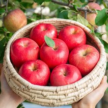 껍질째먹는 최상급 부사 꿀 사과 5kg 로얄과, 정품 햇사과 5kg(16-18과), 1개