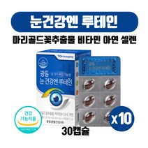 식약처인증 눈건강엔 루태인 루테인 누테인 류테인 료테인 마리골드꽃추출물 비타민A C D E 아연 셀렌 30캡슐, 30캡슐 X 10개 10개월분