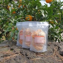 유진팡 수제 건조과일칩 감귤칩 50g, 1개