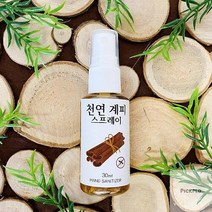 천연 모기 퇴치제 계피 스프레이 만들기 5인 초등저 방과후학습 미술준비물 DIY