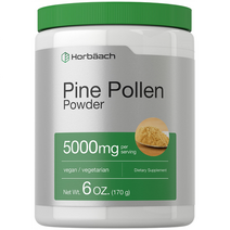 호바흐 소나무 꽃가루 송화 가루 170g, 1통(170g)