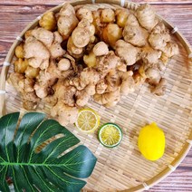 국내산 흙 생강 1Kg 특품 충남 서산 특산물, 흑생강 3Kg, 1개