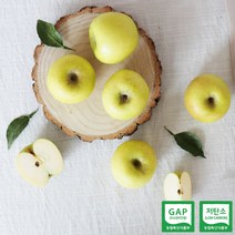 [이슬마루] 황금사과 시나노골드 3kg(12~14과), 단품