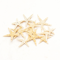 오꿈 조개껍질 조개껍데기 소라껍데기 소라껍질, D06 불가사리 (중), 봉