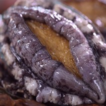 [파격할인][[해신수산] 완도활전복 특대 10~12미 1kg 산지직송(평일 오전 9시 당일출고), 추가안함, 1개