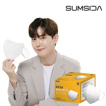 [크린센스] KF94 연예인핏 에브리마스크 새부리 대형 (화이트 100매입)