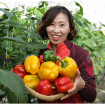 산지직영 가정용 못난이 빨강 노랑 햇파프리카 3kg 5kg, 가정용 5kg