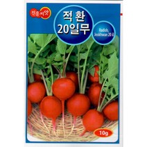 적환 20일 무 10g - 빠른 수확이 가능한 래디시 씨앗 종자