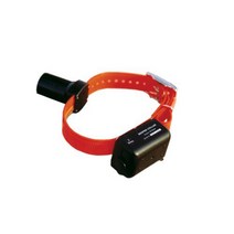 DT Systems BTB800 Baritone Beeper-Locator Dog Collar Rechargeable null, 1, 기타