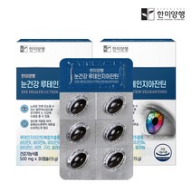 한미양행 루테인지아잔틴 눈에좋은 눈건강 영양제 500mg 30캡슐, 2박스(2개월분)60캡슐
