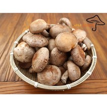 아라표고버섯 생 표고버섯, 1개, 2kg