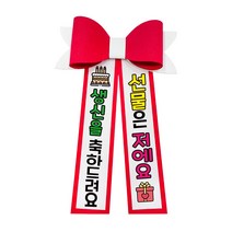 러블리팜 에바폼 컬러 인간 화환 5할머니생신, 레드, 1.생신축하, 레드, 1개