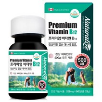 네추럴lize 프리미엄 비타민 b12 90정 메틸 코발라민 고함량 비타민비 영양제 추천, 5개, 3개월(90정)